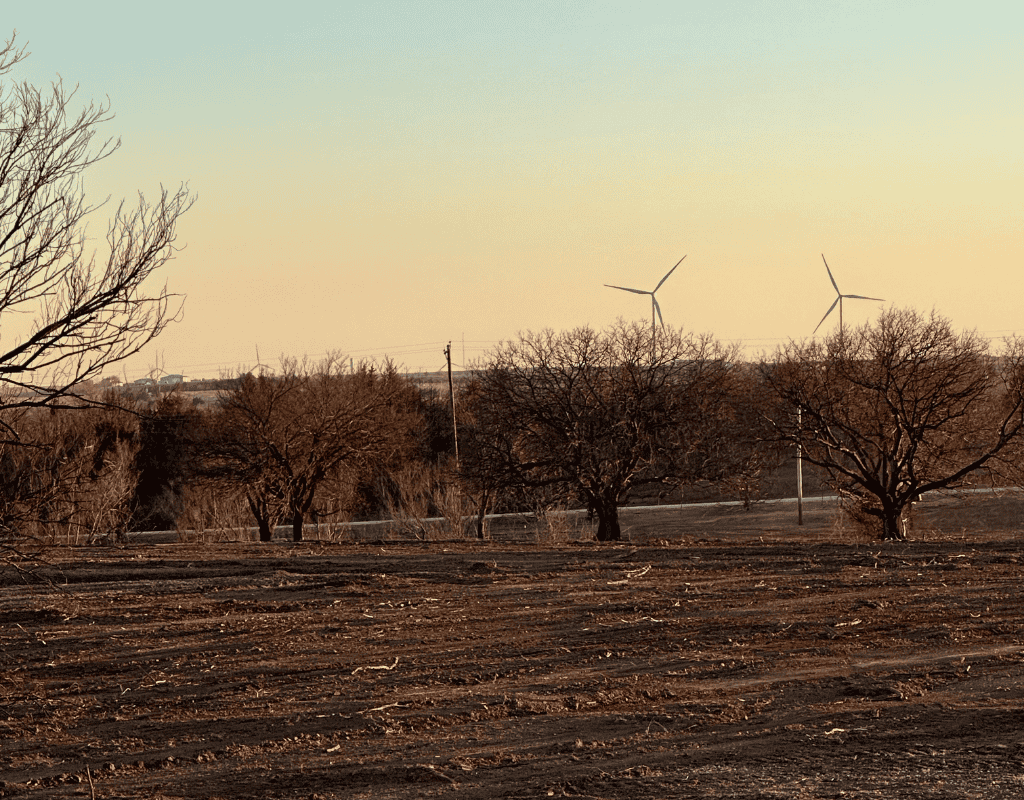 Cleared farmland at dusk with wind turbines on the horizon and bare tree trunks silhouetted against a golden sky.