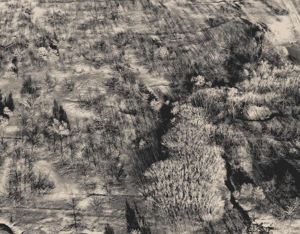 Aerial shot of a forested hillside after selective demolition, leaving behind bare earth and machine tracks among standing trunks.