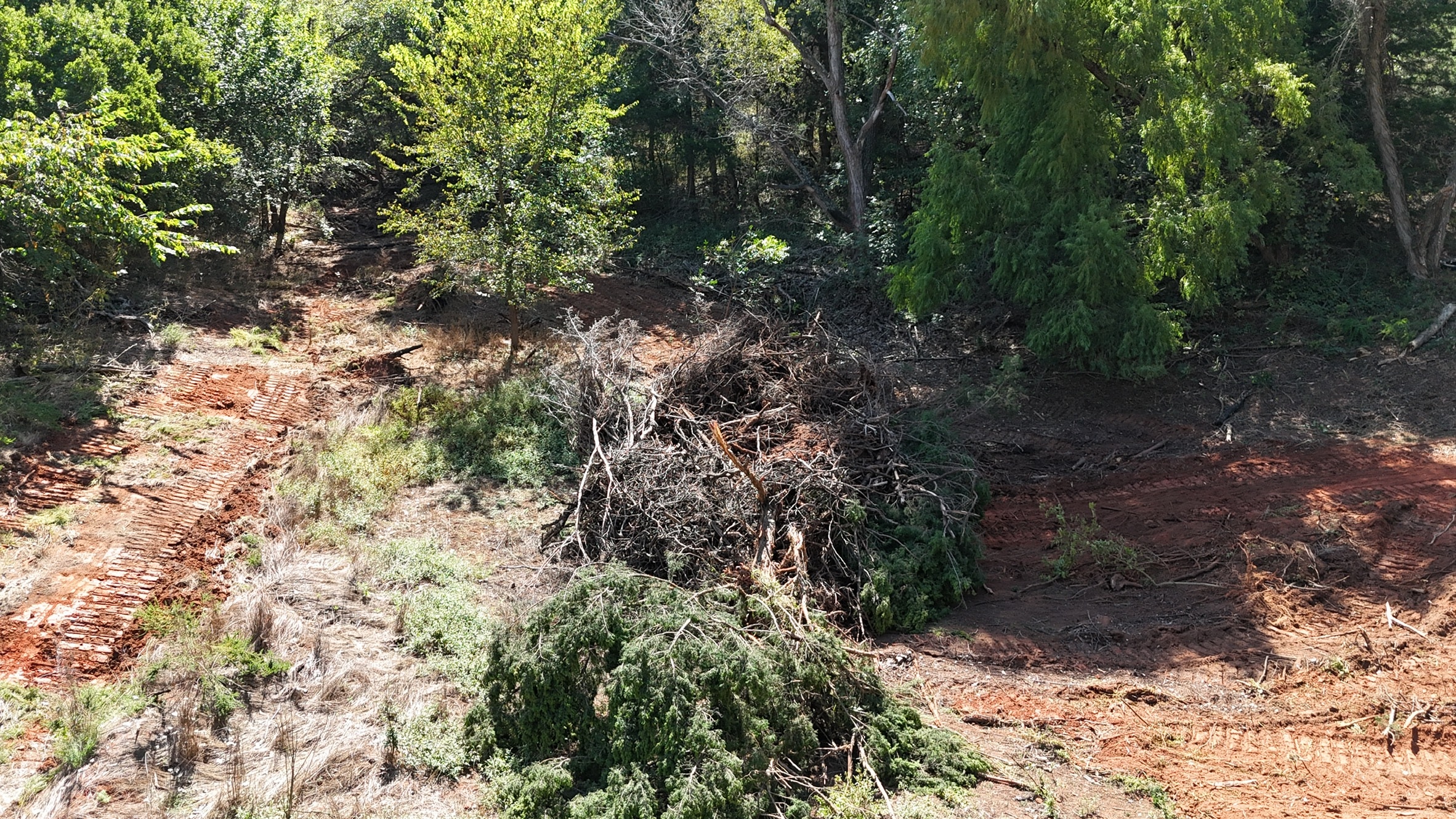 Years of Neglect the Property