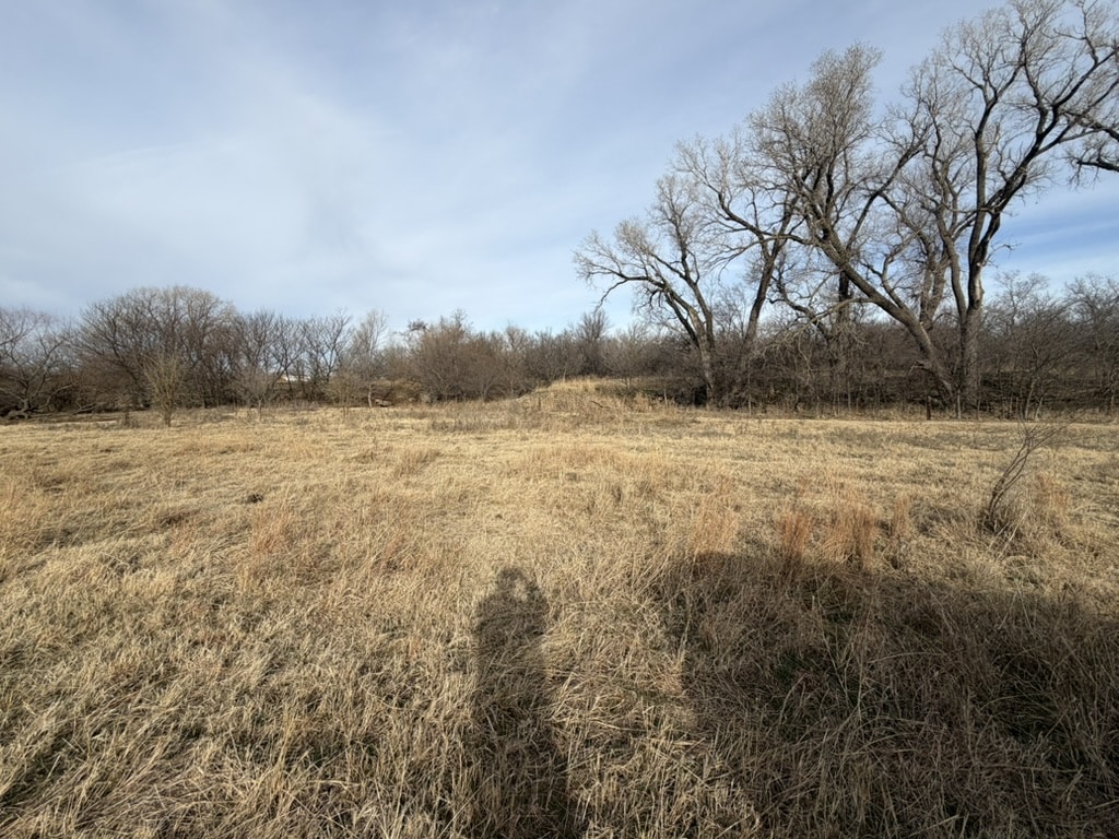 Before Watering Pond
